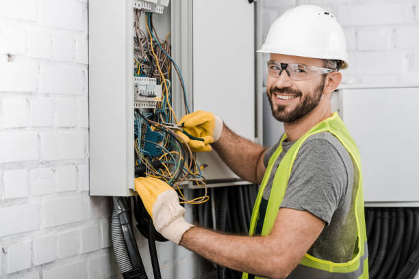 Best Electric Panel Repair  in Emmetsburg, IA